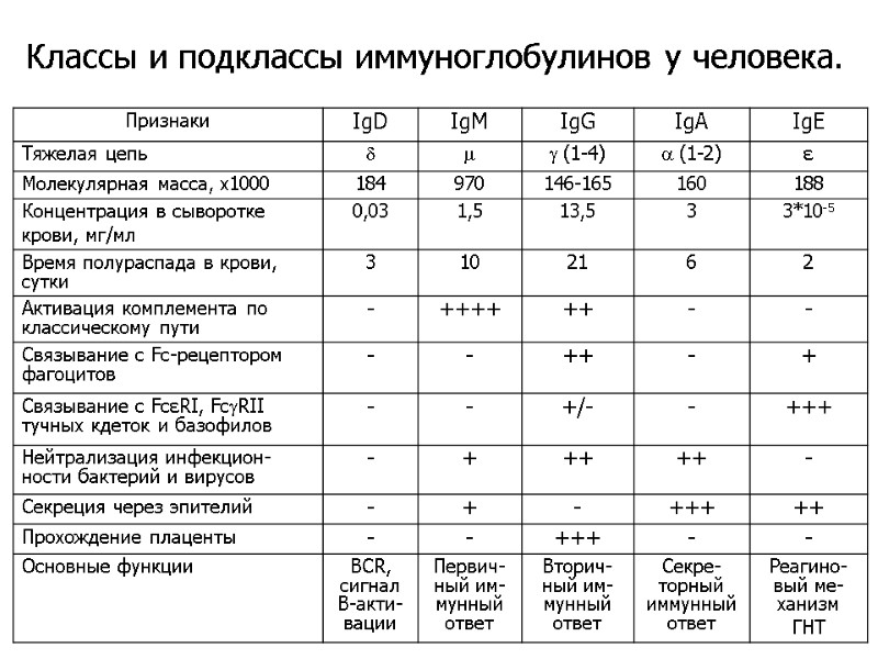 Классы и подклассы иммуноглобулинов у человека.